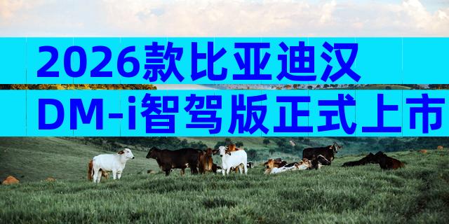 2026款比亚迪汉DM-i智驾版正式上市 20万级家用轿车配置报价全解析